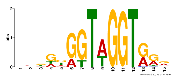 no logo