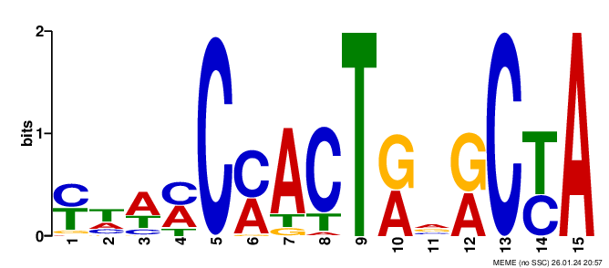 no logo