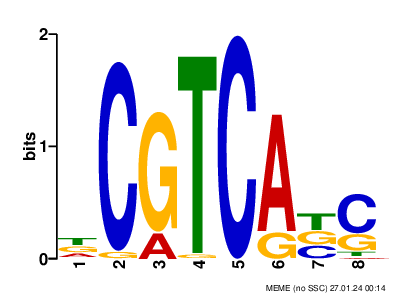 no logo