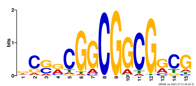 no logo